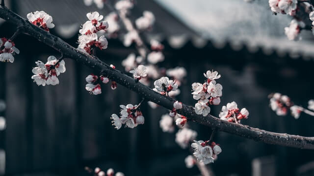 泡妞攻略