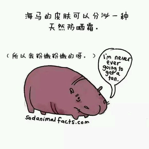 那些你从未听过的动物的冷知识