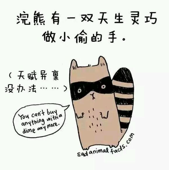 那些你从未听过的动物的冷知识