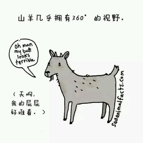 那些你从未听过的动物的冷知识