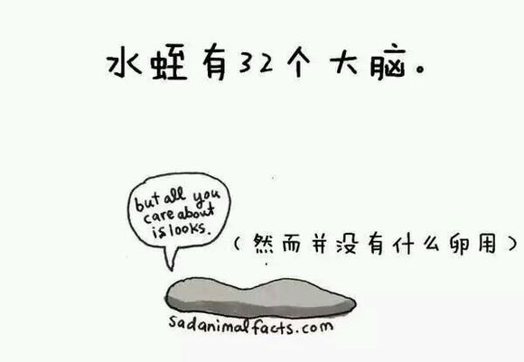 那些你从未听过的动物的冷知识