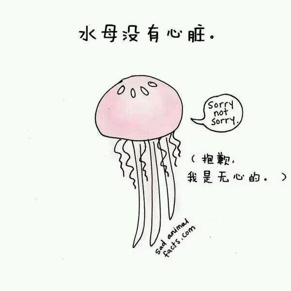 那些你从未听过的动物的冷知识