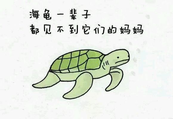 那些你从未听过的动物的冷知识