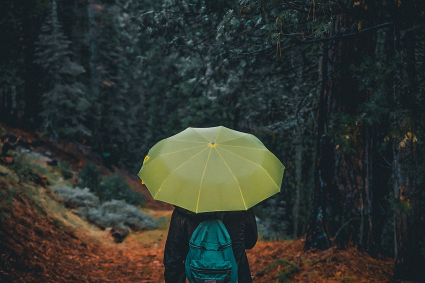 清明的雨