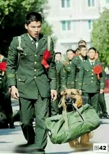 这才是正能量的“照片”