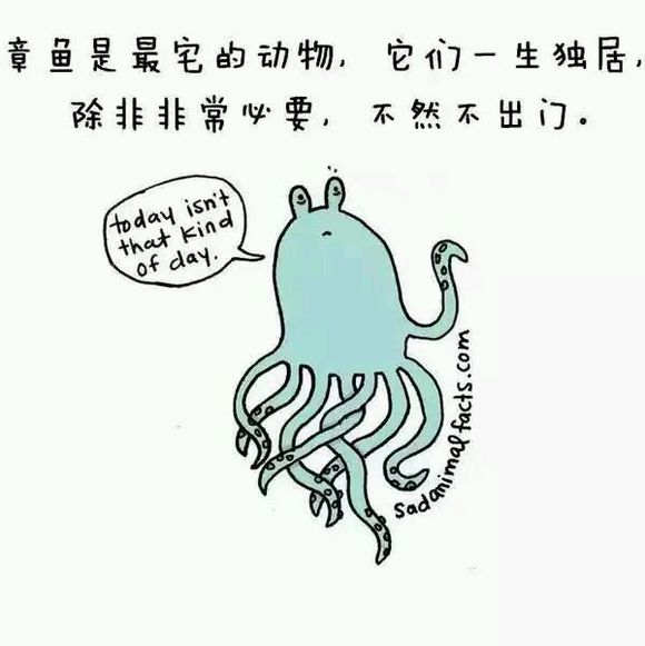 那些你从未听过的动物的冷知识