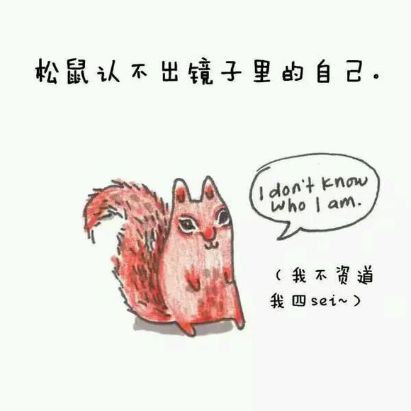 那些你从未听过的动物的冷知识
