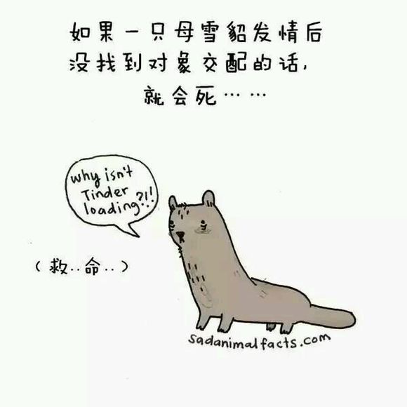 那些你从未听过的动物的冷知识