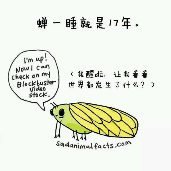那些你从未听过的动物的冷知识