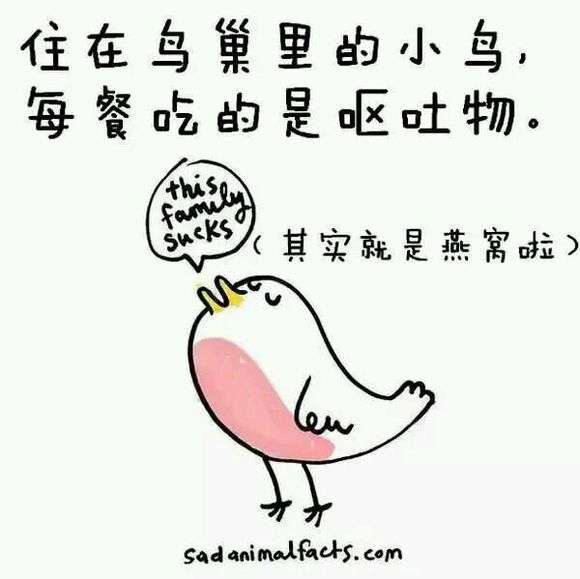 那些你从未听过的动物的冷知识