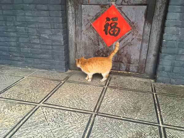 五台山旅游的各种坑