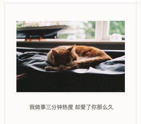 那些令人绝望的图