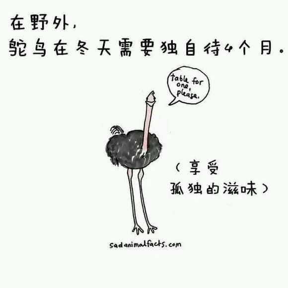 那些你从未听过的动物的冷知识