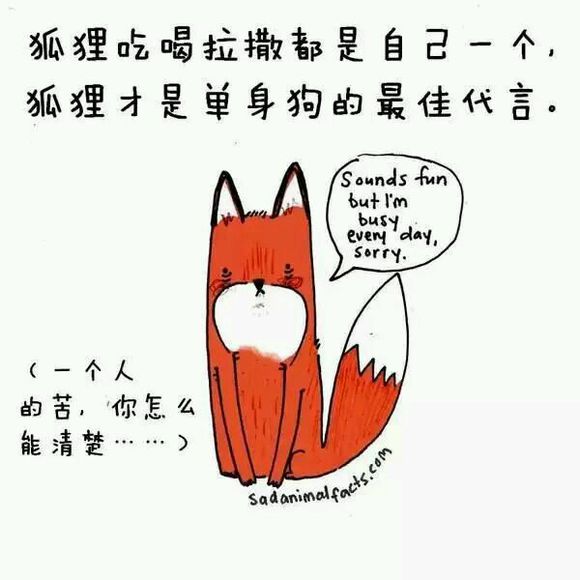 那些你从未听过的动物的冷知识