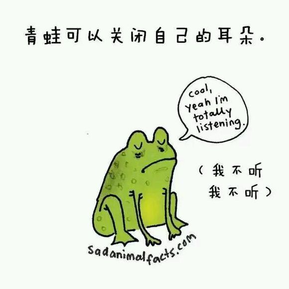 那些你从未听过的动物的冷知识