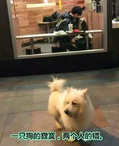 那些年,让我笑出声的图片