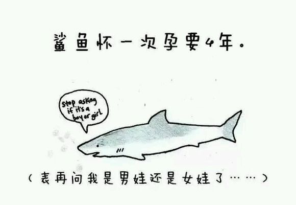 那些你从未听过的动物的冷知识