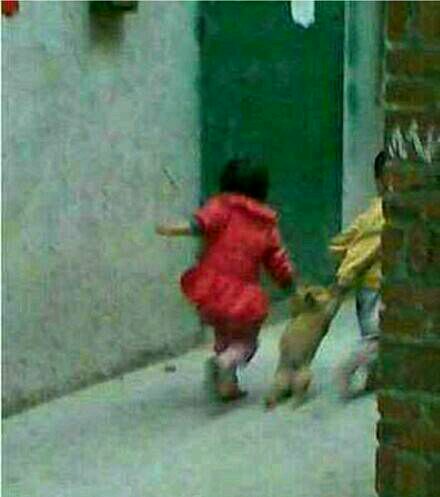 这些照片，一张就是一个故事