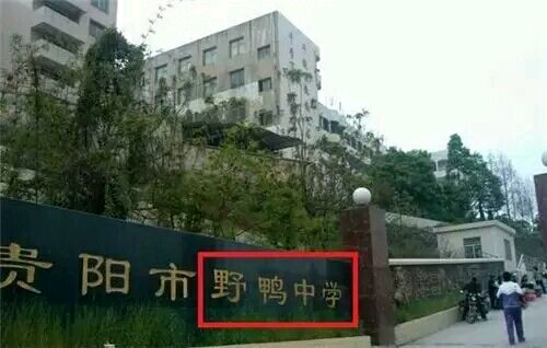 不淫荡，但很搞笑，这些地名起的太随便了！
