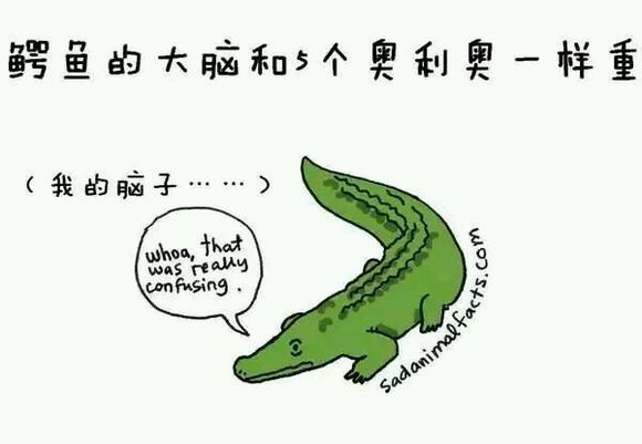 那些你从未听过的动物的冷知识