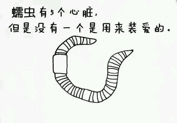 那些你从未听过的动物的冷知识