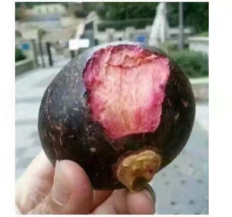 第一次吃水果是这样的
