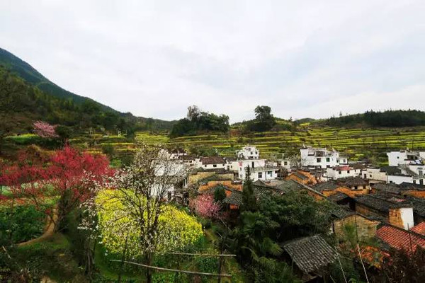 农村的时代变迁
