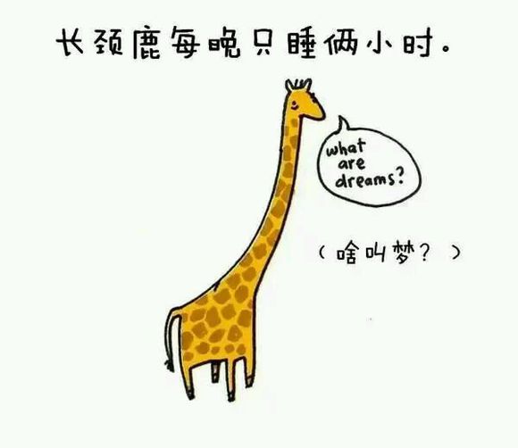 那些你从未听过的动物的冷知识