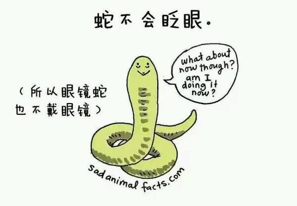 那些你从未听过的动物的冷知识