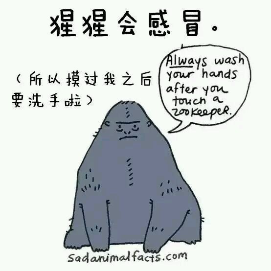 那些你从未听过的动物的冷知识