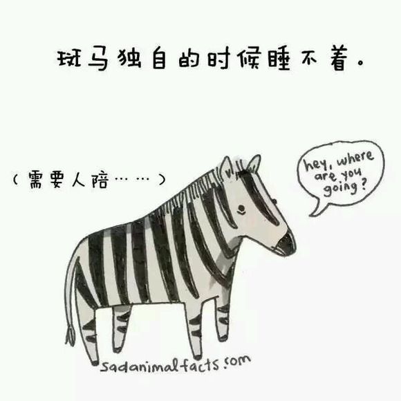 那些你从未听过的动物的冷知识