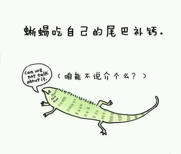 那些你从未听过的动物的冷知识