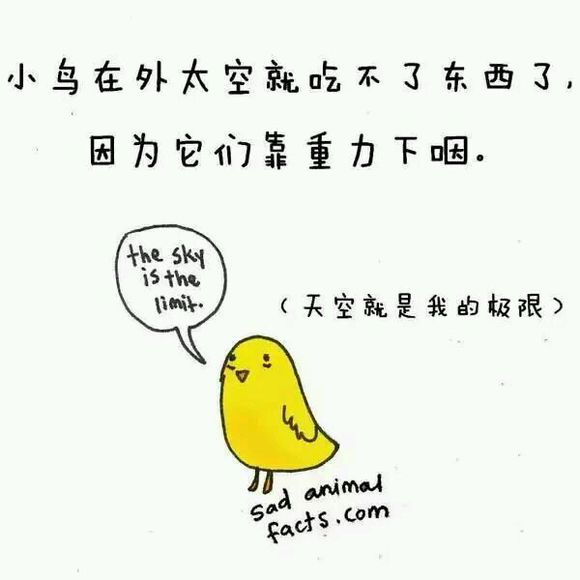 那些你从未听过的动物的冷知识
