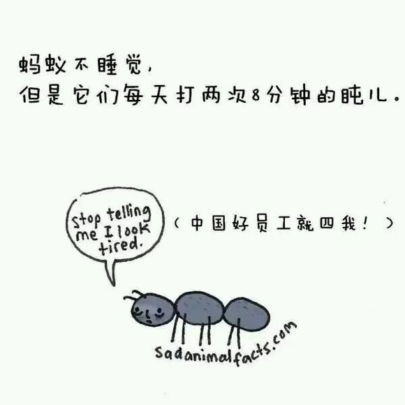 那些你从未听过的动物的冷知识
