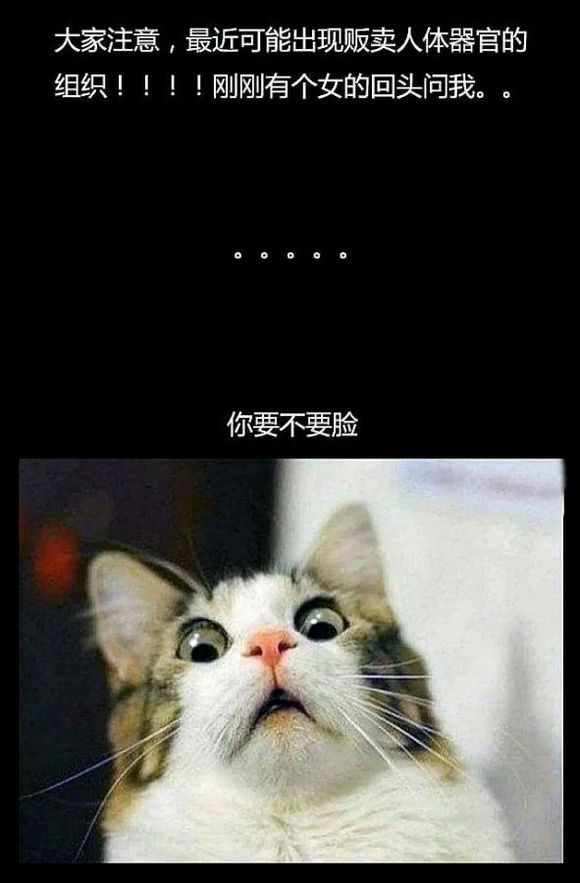 那些年,让我笑出声的图片