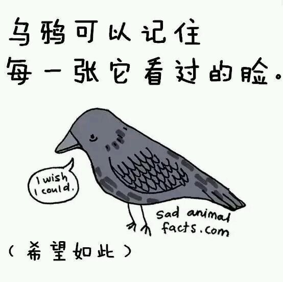 那些你从未听过的动物的冷知识