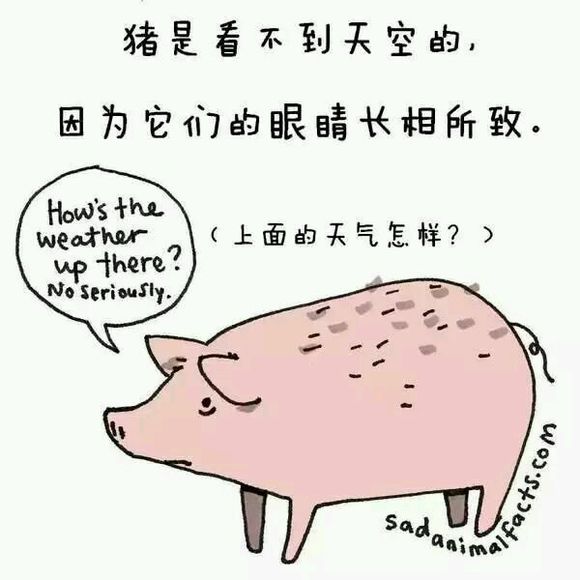 那些你从未听过的动物的冷知识