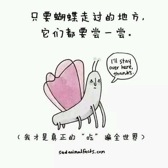 那些你从未听过的动物的冷知识