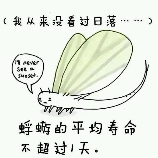 那些你从未听过的动物的冷知识
