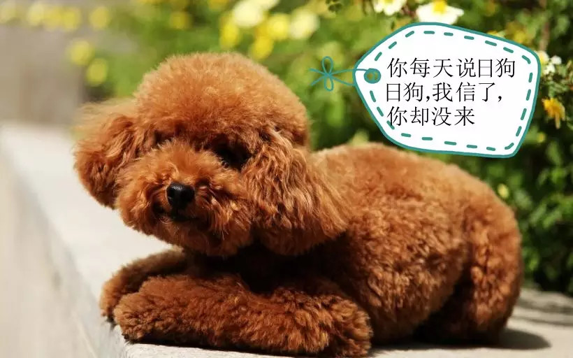 有一个色色的男朋友什么感受