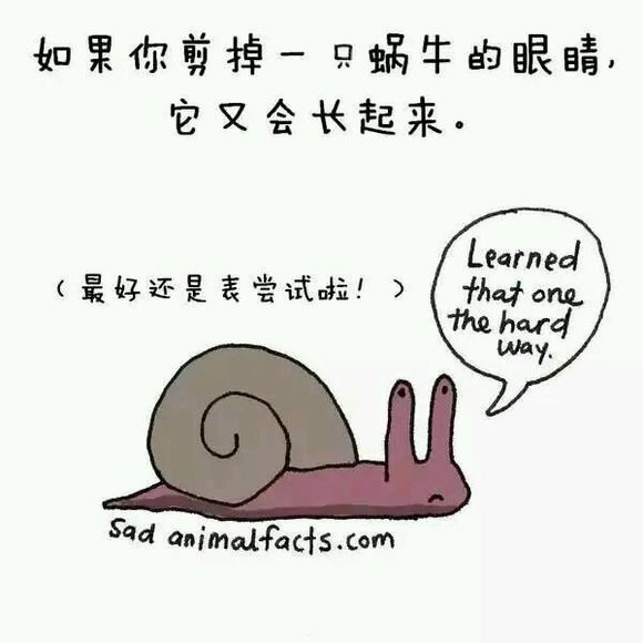 那些你从未听过的动物的冷知识